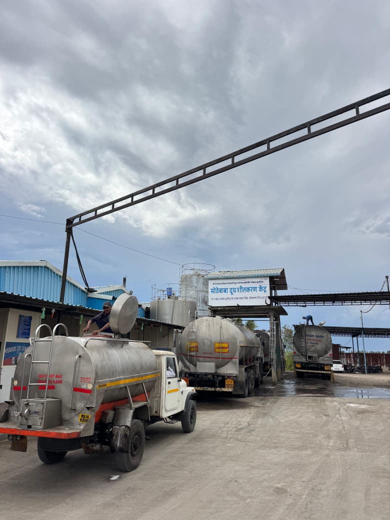 Daily milk intake operations